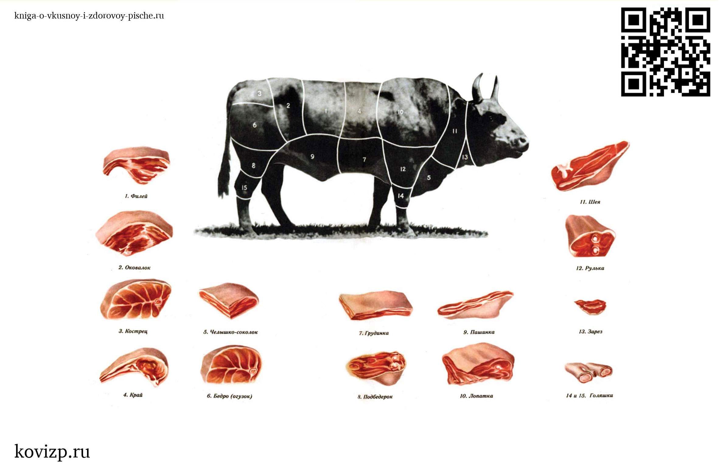 О вкусной и здоровой пище (1952) — иллюстрация 22