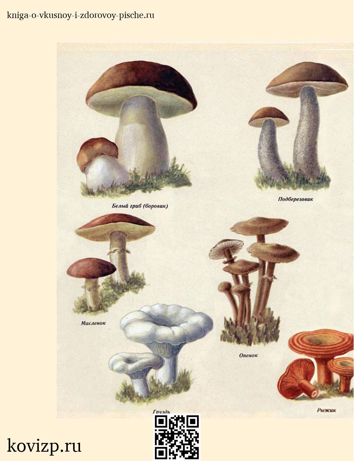 О вкусной и здоровой пище (1952) — иллюстрация 29