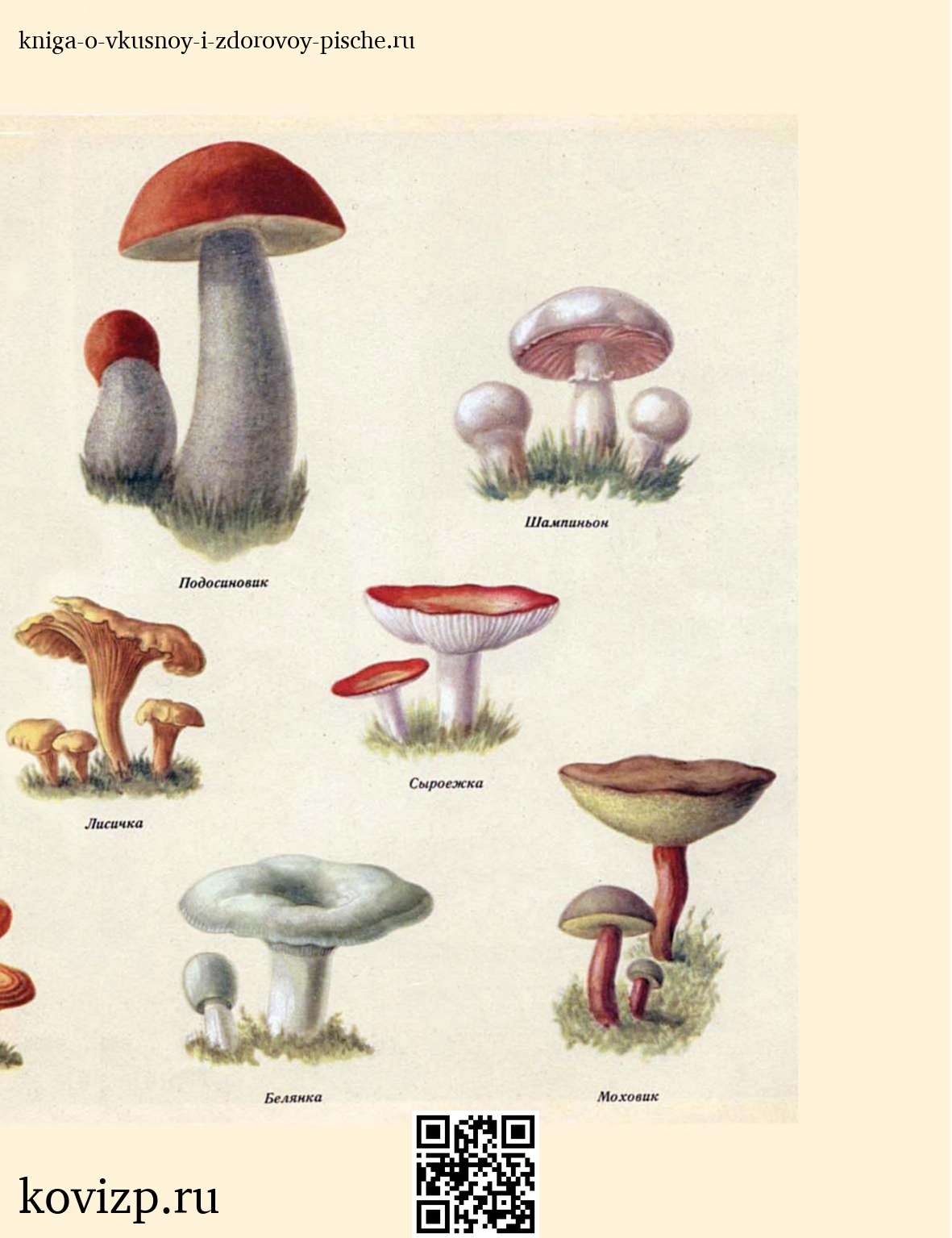 О вкусной и здоровой пище (1952) — иллюстрация 30